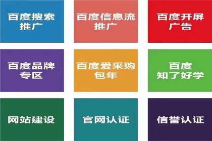 SEM竞价入门指南，经典案例分享